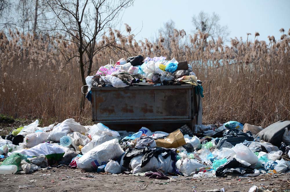 Let us throw all your trash to the dumpster the perfect and affordable way